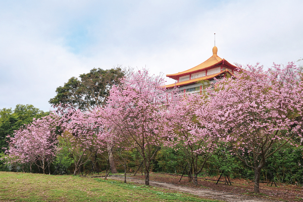 長溝流月去無聲     華岡的挑戰正要開始圖片
