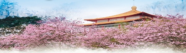 長溝流月去無聲     華岡的挑戰正要開始圖片